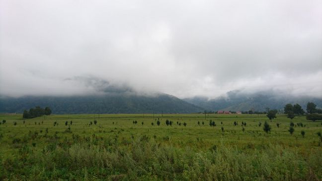 Равнина на левом берегу Катуни