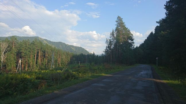 Левый берег Катуни в вечерней тени